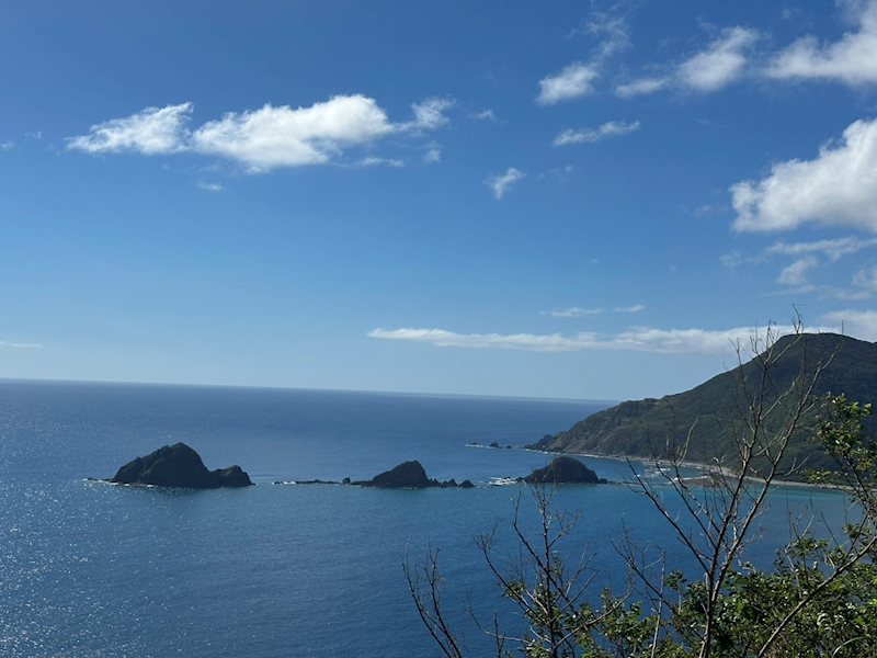 鹿児島県大島郡瀬戸内町西古見 間取図・土地図