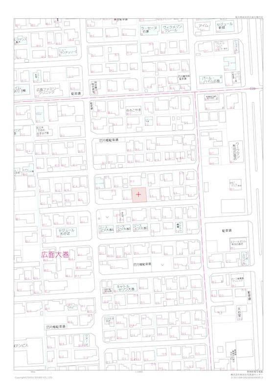 広面字大巻　土地 全体区画図