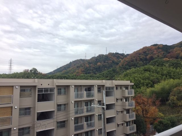 若山台第2住宅5号棟 その他
