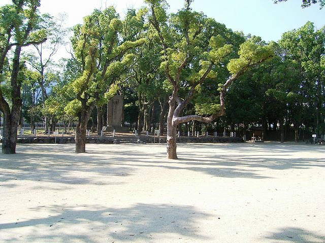 メゾン水無瀬1号棟 その他