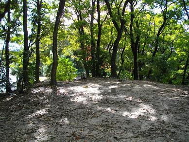 交野市松塚テラスハウス（再生住宅） 周辺画像10