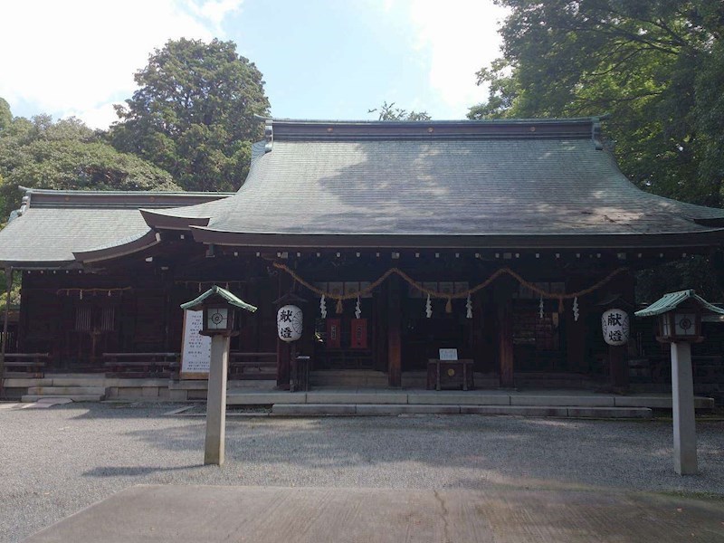 若山台住宅33号棟 305号室 その他