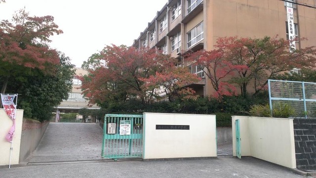 楠葉野田1丁目　売土地 周辺画像6