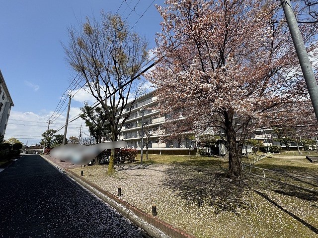 富田第二住宅76号棟  その他
