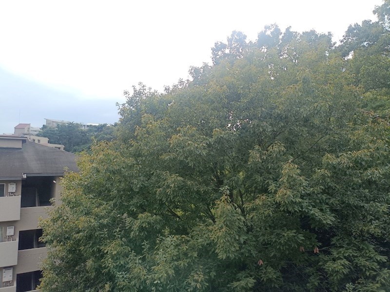 メゾン千里丘B棟 その他