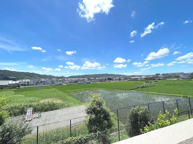 交野グリーンマンション その他