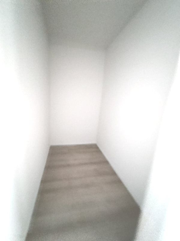 収納充実パンドリー 北楠葉町全2区画新築分譲住宅B号棟 その他