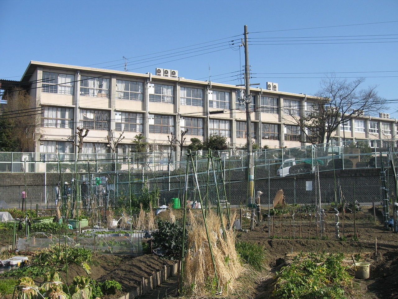 枚方市立樟葉南小学校 GRANDSELECT楠葉美咲三丁目 土地 周辺画像7