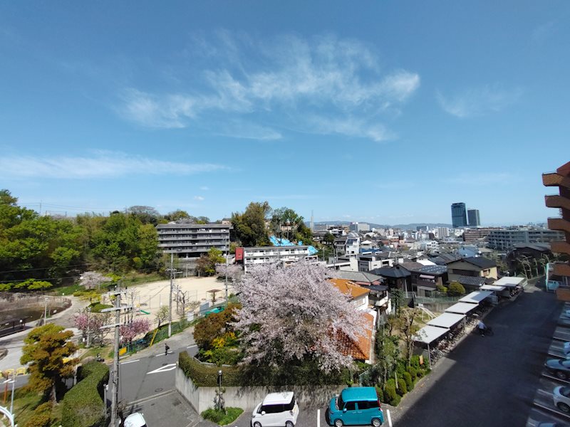 ライオンズマンション枚方 その他