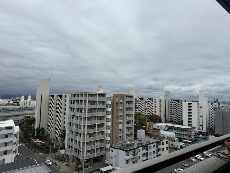 アズ・メイプ,リバティ  その他