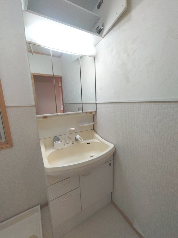 三面鏡洗面化粧台 交野市私部西4丁目一戸建 その他