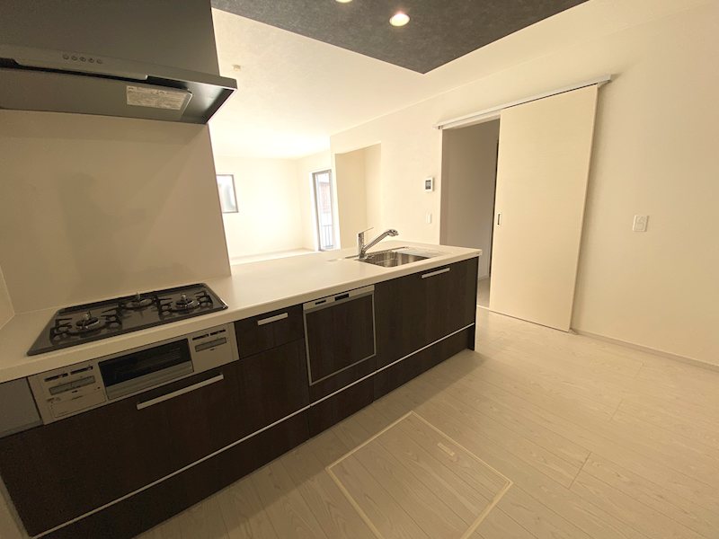 食洗器付対面式システムキッチン 天野が原町4丁目限定1邸新築分譲住宅  その他