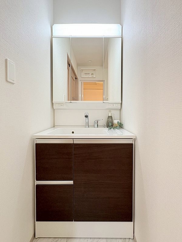 三面鏡洗面化粧台設置 香里ケ丘12丁目Hartfulltown限定1邸新築分譲住宅 その他