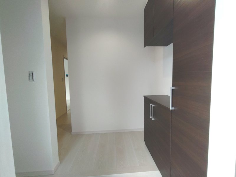 明るい玄関で家族を迎え入れてくれます 楠葉丘1丁目LiveleGardenS限定1邸新築角地分譲住宅 その他