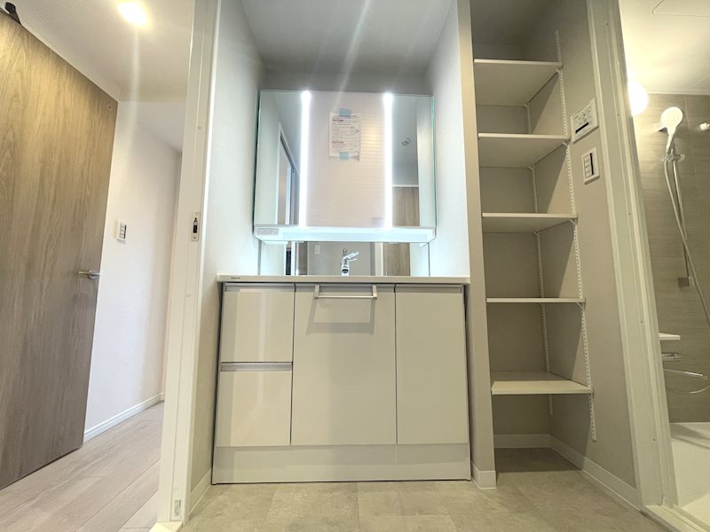 三面鏡洗面化粧台新調 ライオンズガーデン枚方 その他