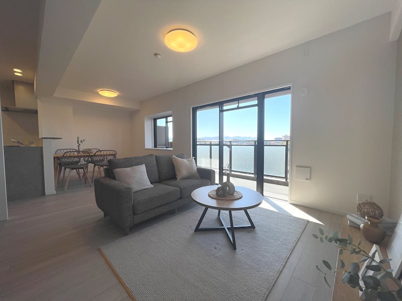 南西バルコニーから採光がある約16.7帖のリビング ライオンズガーデン枚方 その他