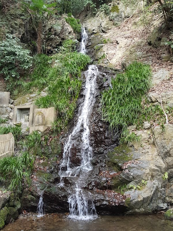 メゾン水無瀬2号棟 その他