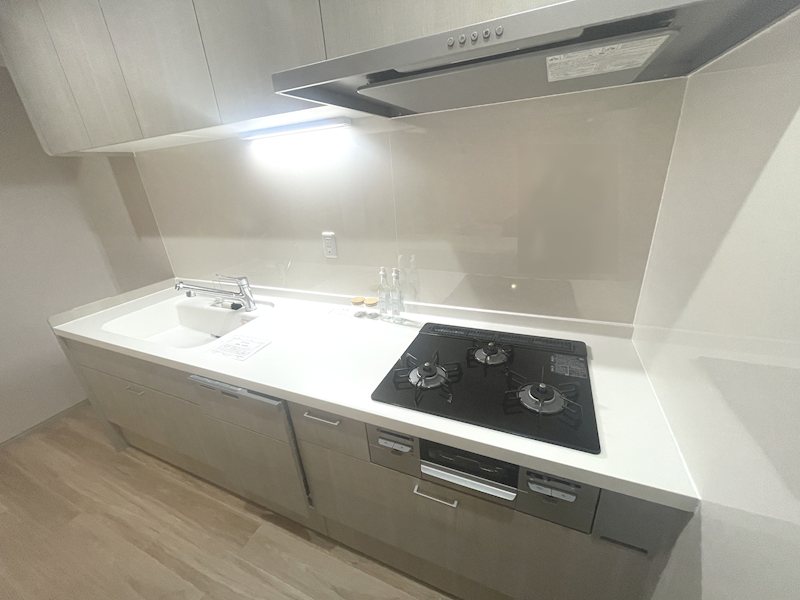 食器洗浄機付システムキッチンで料理がはかどります 枚方淀川公園スカイハイツ その他