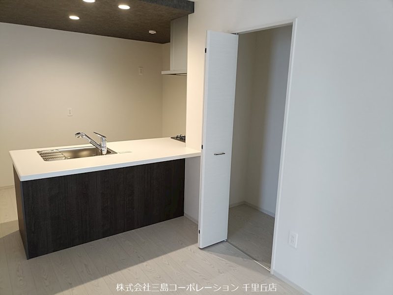 摂津市鳥飼下2丁目 新築一戸建 2号棟 その他