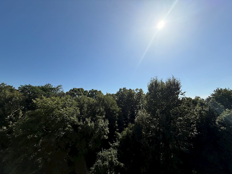 茨木郡山D住宅A18棟  その他