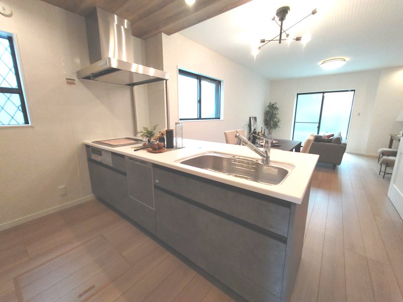 東香里新町限定1邸新築分譲住宅 その他