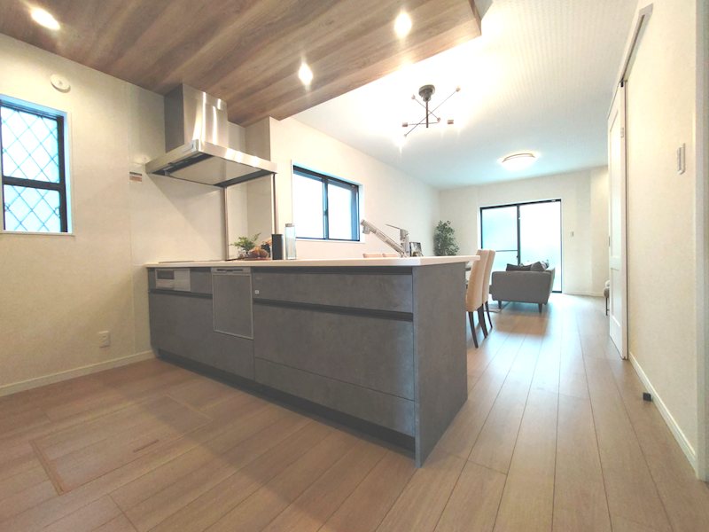 東香里新町限定1邸新築分譲住宅 その他