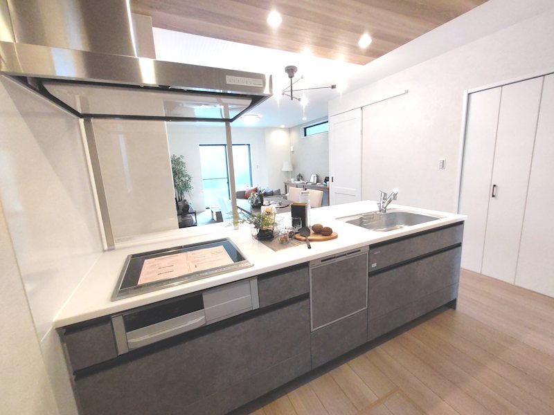 東香里新町限定1邸新築分譲住宅 その他