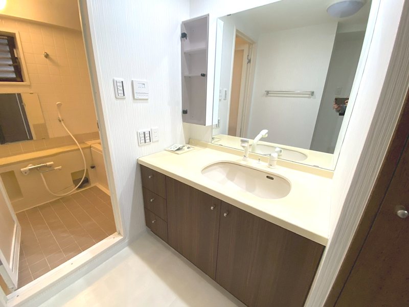 大きい鏡で朝の身支度がはかどります コモンシティ星田ヴェルデヒルズ壱番館 その他