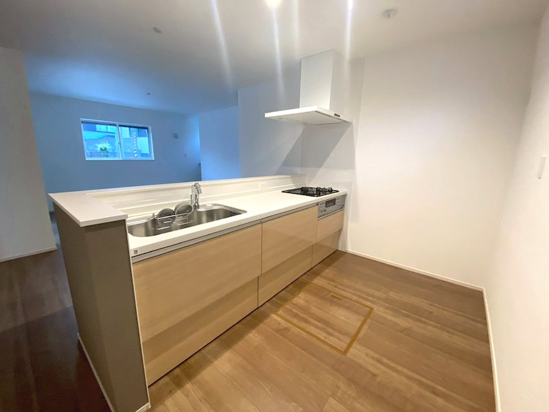 東香里3丁目南東角地限定1邸新築分譲住宅 その他