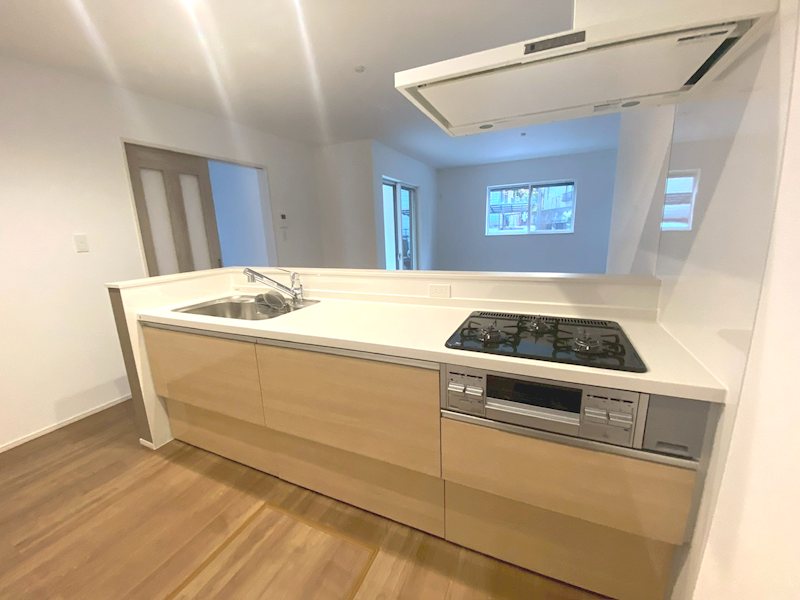 東香里3丁目南東角地限定1邸新築分譲住宅 その他