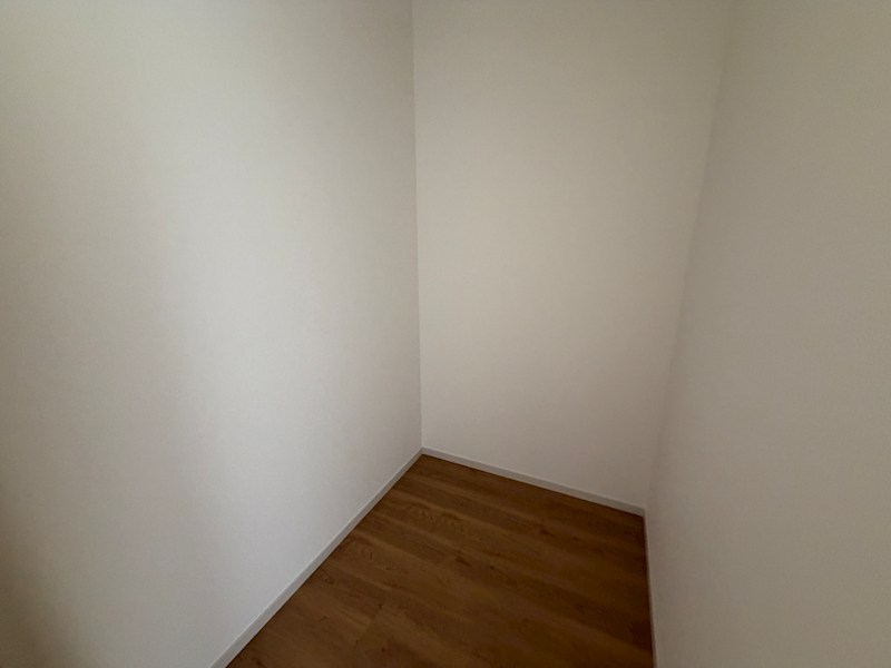 藤阪元町3丁目限定1邸新築分譲住宅 その他