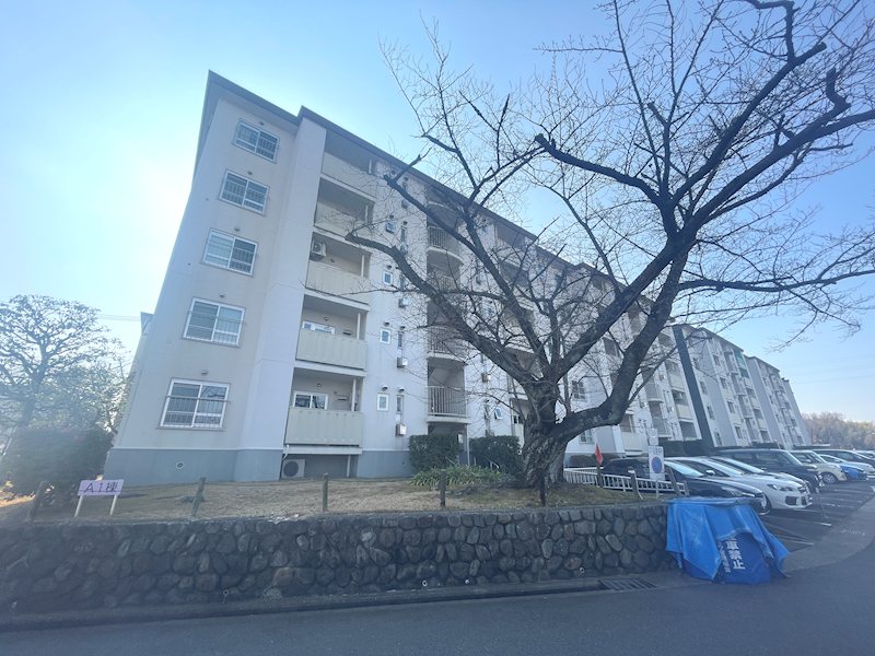 藤阪ハイツA壱号棟 外観写真