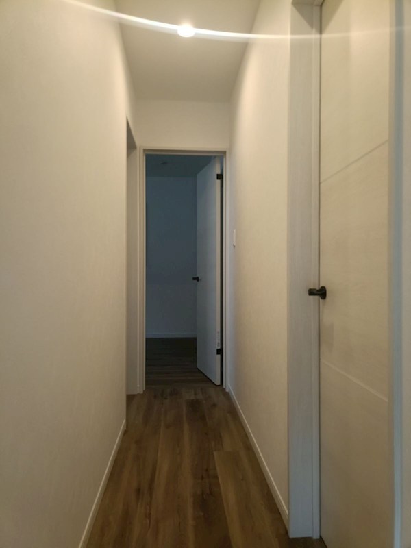 摂津市別府3丁目　新築一戸建 その他