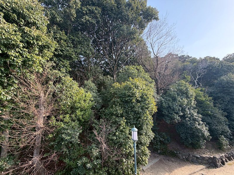 楠葉野田3丁目LiveleGardenS全4棟新築分譲住宅地内1号棟 その他