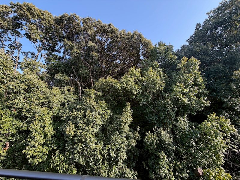 バルコニーからの眺望 楠葉野田3丁目LiveleGardenS全4棟新築分譲住宅地内4号棟 その他