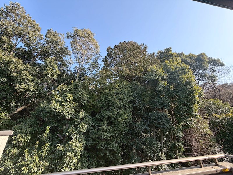 楠葉野田3丁目LiveleGardenS全4棟新築分譲住宅地内2号棟 その他