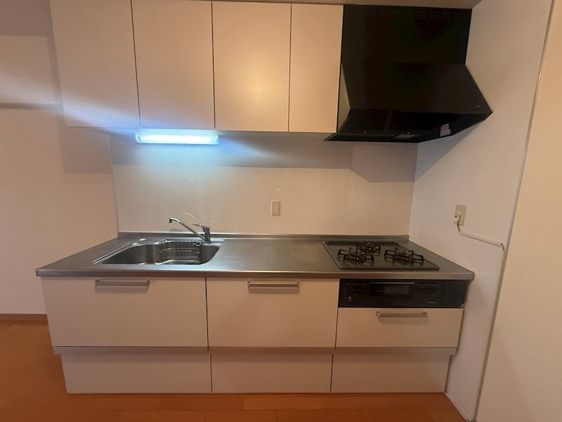 様々な雰囲気の空間にマッチするホワイトのキッチンです♪丁寧にお使いです。 メゾン茨木西駅前 その他