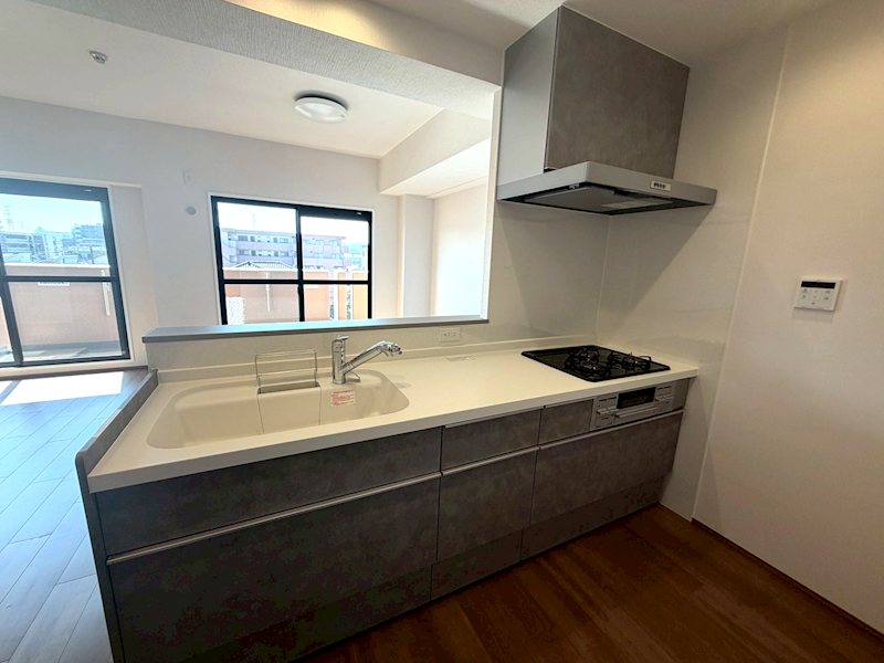 対面式システムキッチン新規交換 ダイアパレス樟葉 その他