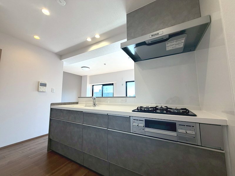 対面式システムキッチン新規交換 ダイアパレス樟葉 その他