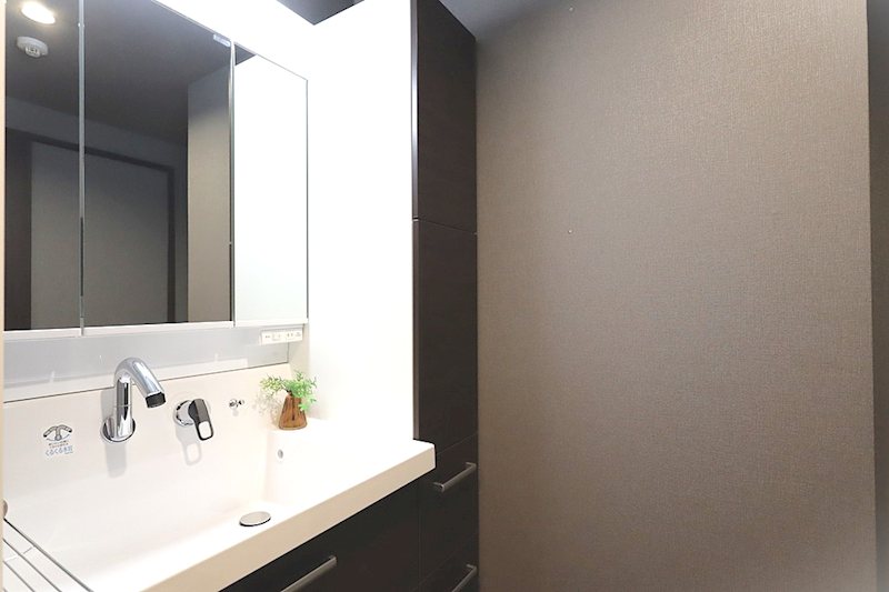 三面鏡洗面化粧台新調交換 メロディーハイム牧野公園弐番館 その他