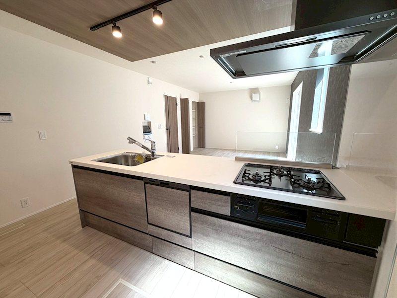 藤阪北町LIGNAGE限定1邸新築分譲住宅 その他