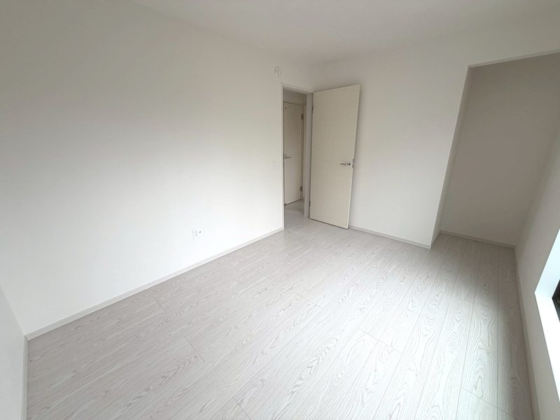 香里ケ丘11丁目限定1邸新築分譲住宅 その他