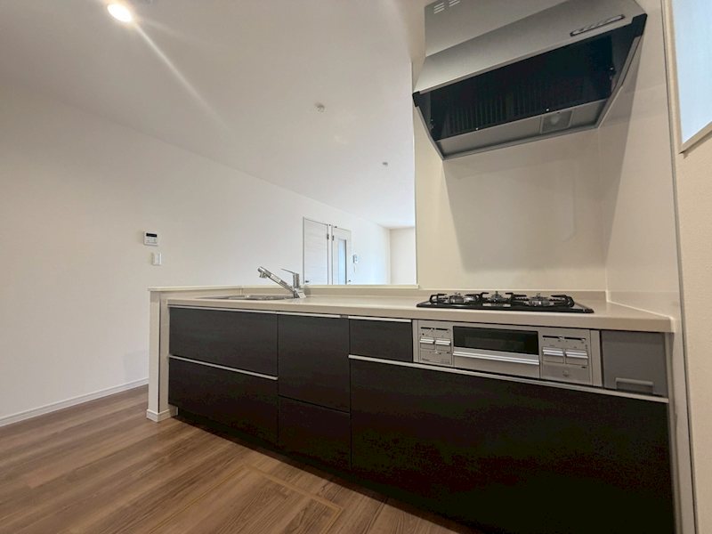 楠葉美咲2丁目LiveleGardenS2区画新築分譲住宅地内2号棟 その他