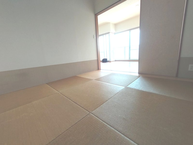 レピア和泉中央 その他