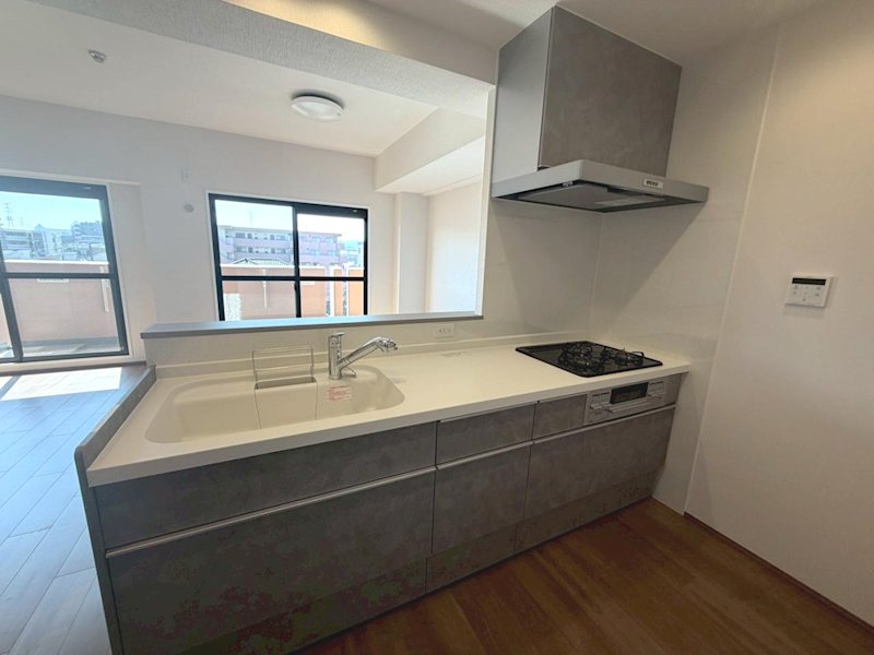 ダイアパレス樟葉  その他