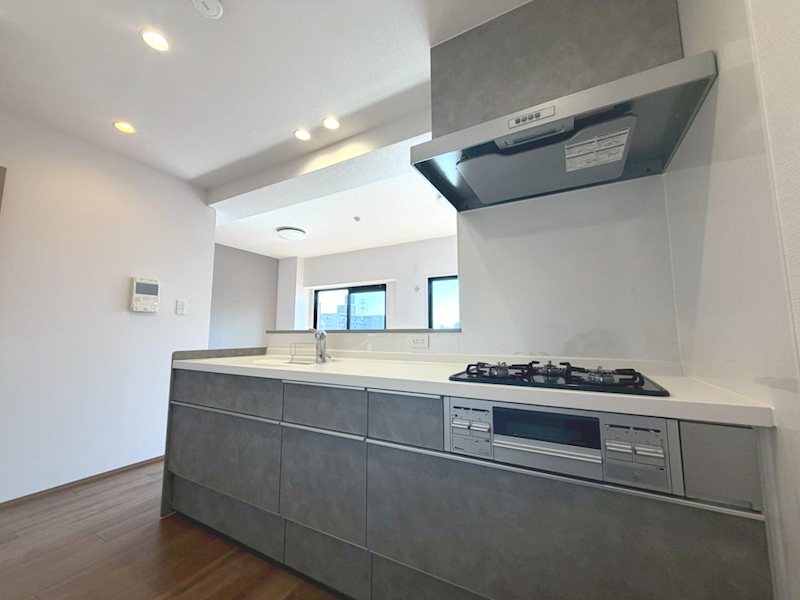 ダイアパレス樟葉  その他