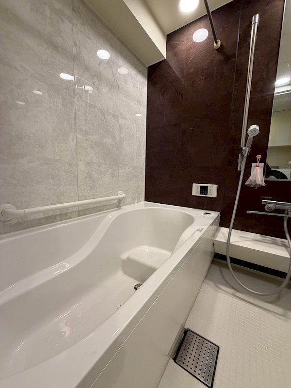 ロイヤルシャトーねやがわオークビル 911号室 その他