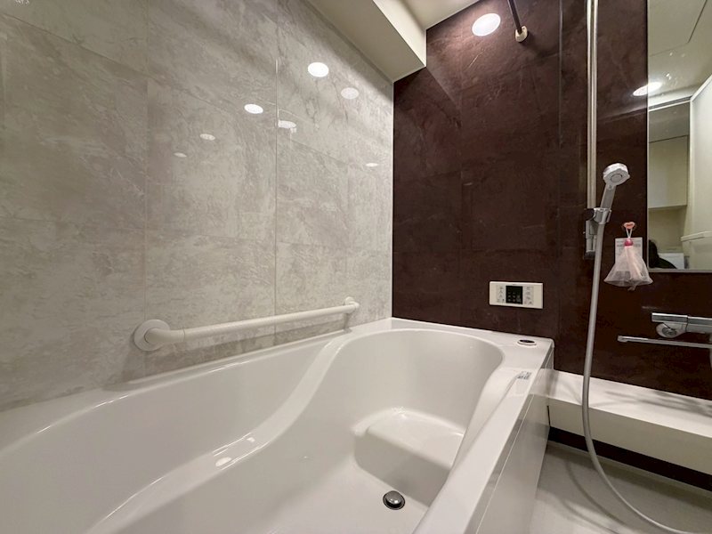 ロイヤルシャトーねやがわオークビル 911号室 その他