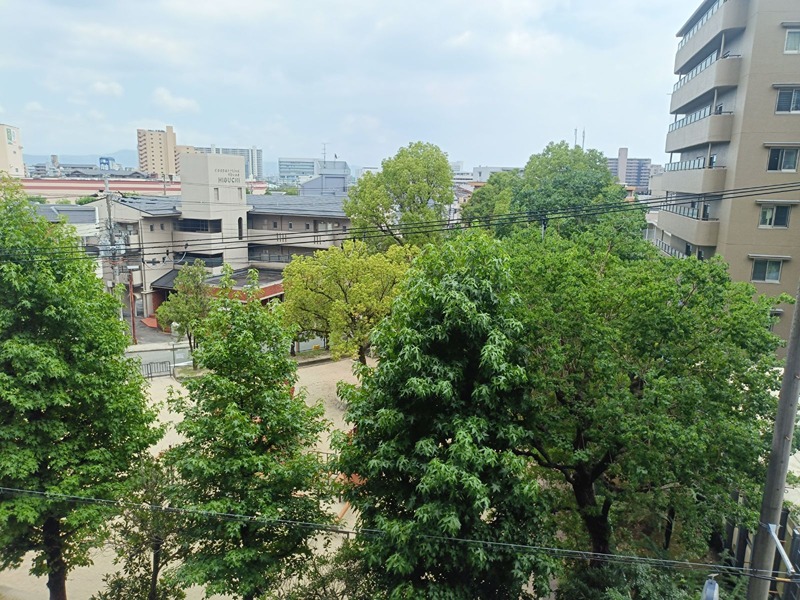 爽やかな緑が広がる眺望。開放感のある住まいで、季節の移ろいを感じてみませんか。 日興千里丘スカイマンションB棟 406号室 その他