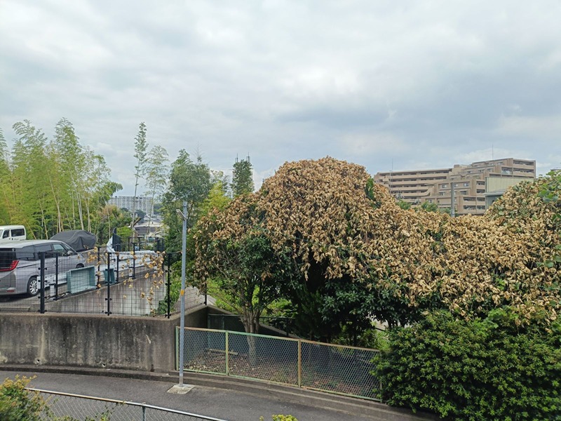 公社山田西団地A2棟  その他